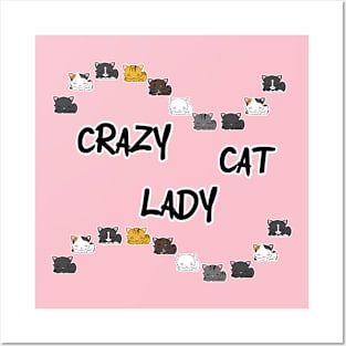 Crazy cat lady Posters and Art